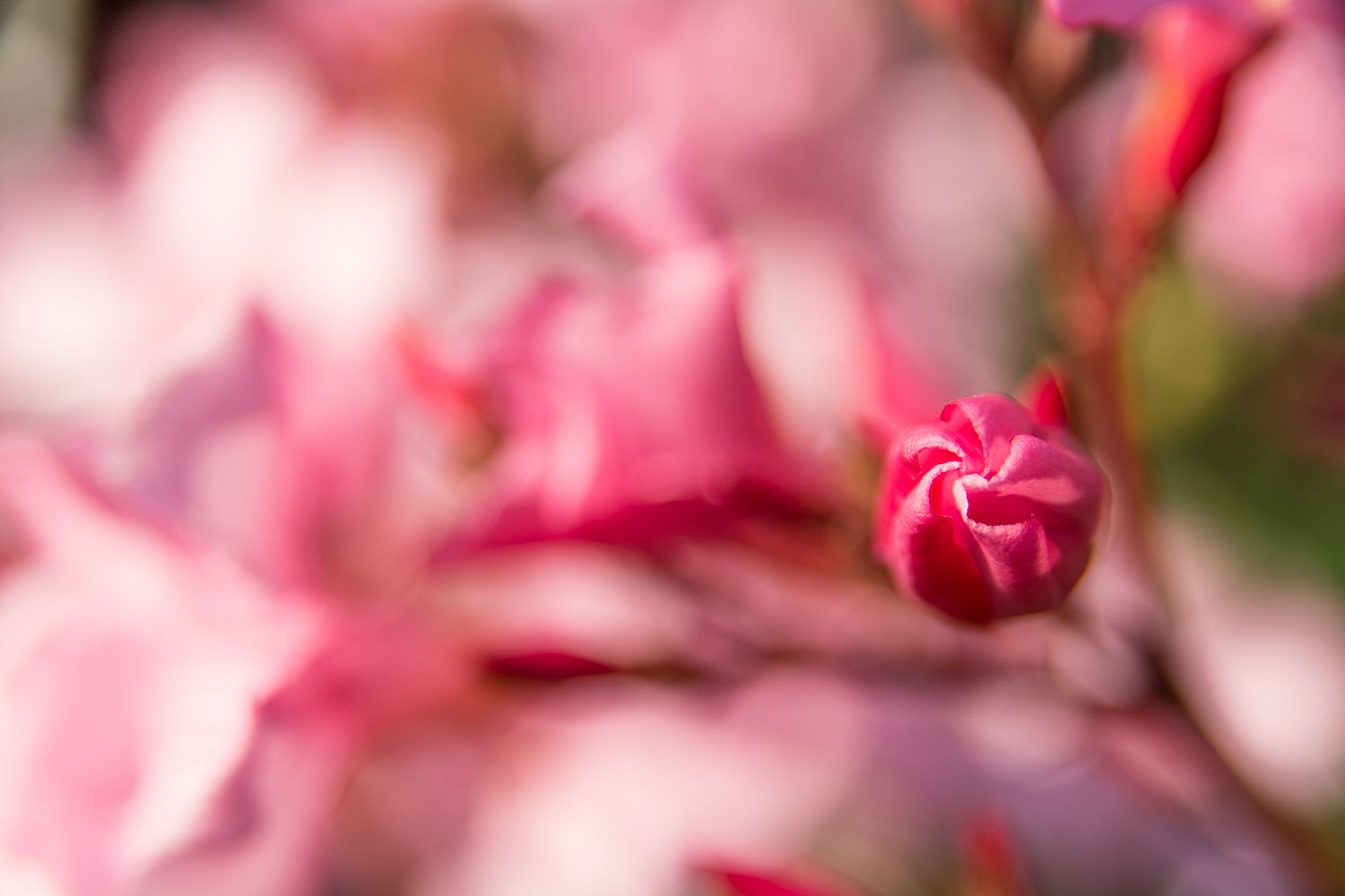 Foto: Pia Winterholler